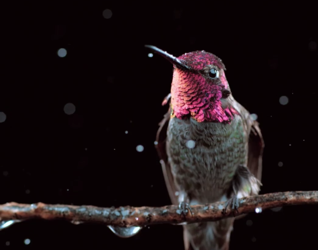 Immersive Storytelling